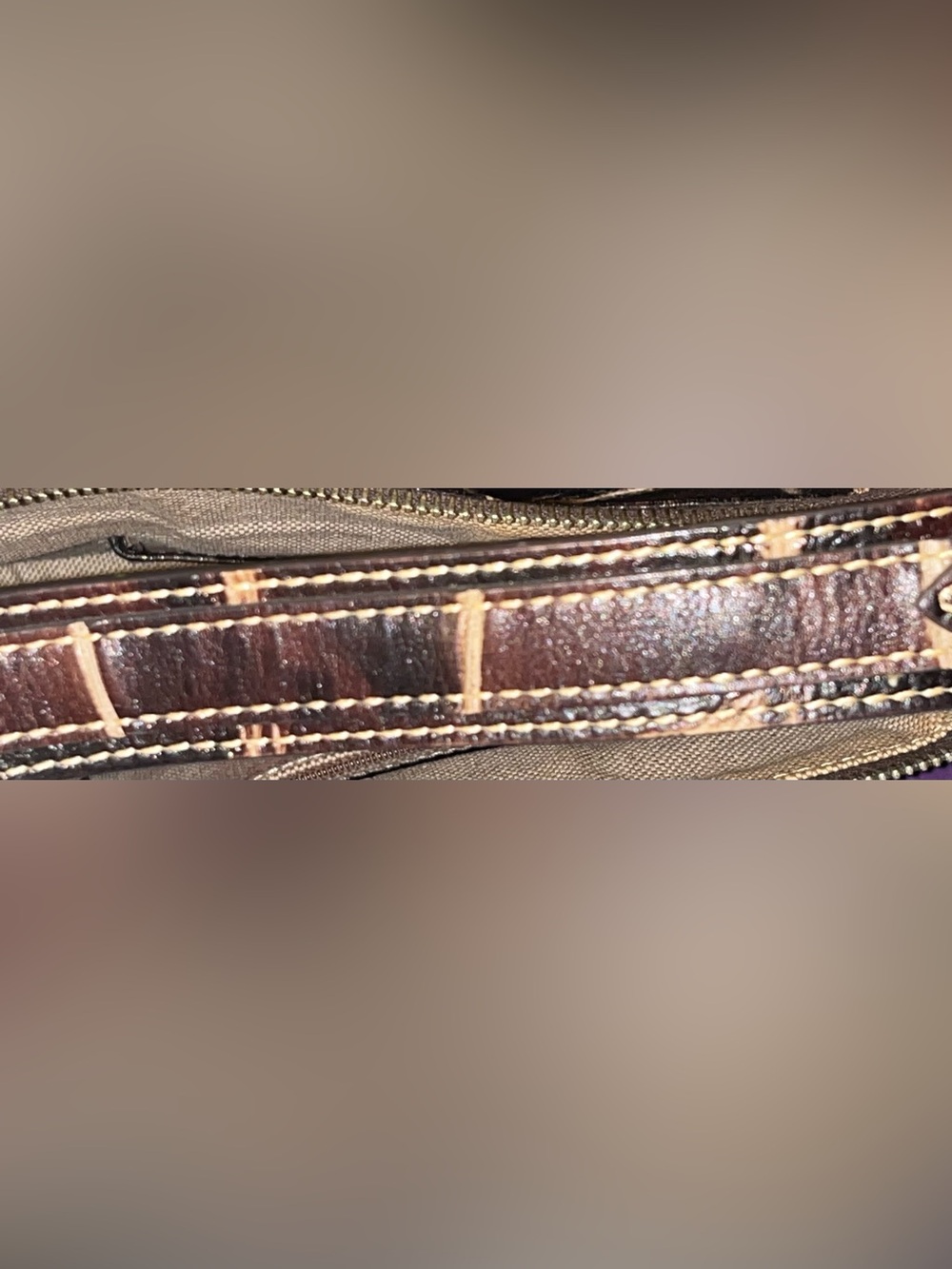 Dooney & Bourke EUC Luna bag from the Nile collection - Picture 6 of 8